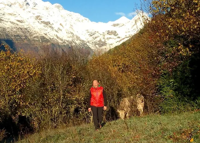 Casa rural Casas De Zapatierno